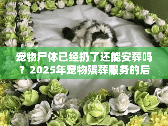 宠物尸体已经扔了还能安葬吗？2025年宠物殡葬服务的后悔药全攻略