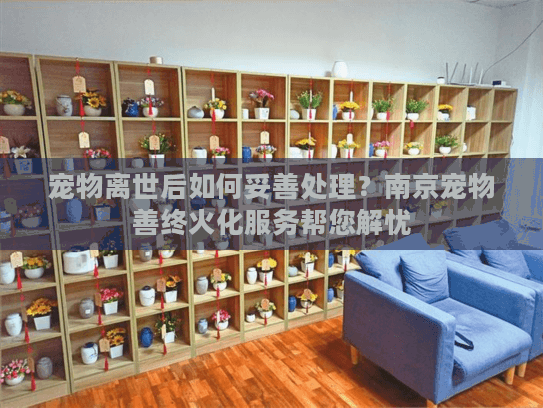 宠物离世后如何妥善处理？南京宠物善终火化服务帮您解忧