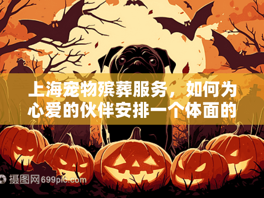上海宠物殡葬服务，如何为心爱的伙伴安排一个体面的告别？