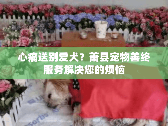心痛送别爱犬？萧县宠物善终服务解决您的烦恼