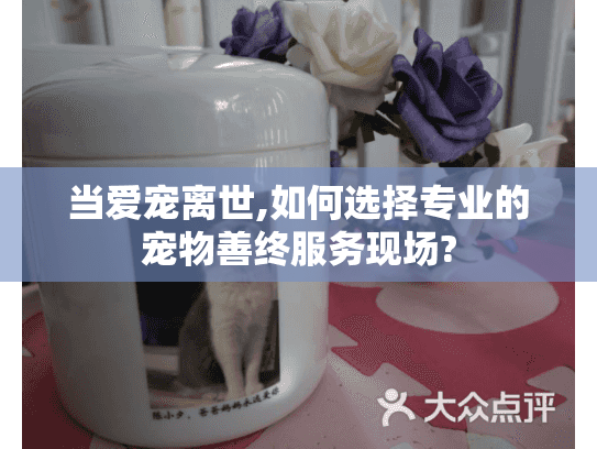 当爱宠离世,如何选择专业的宠物善终服务现场?