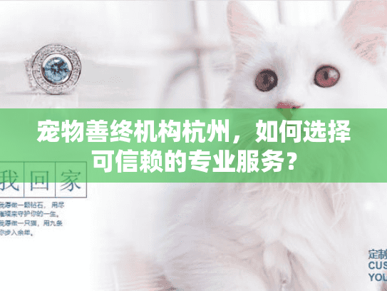 宠物善终机构杭州，如何选择可信赖的专业服务？