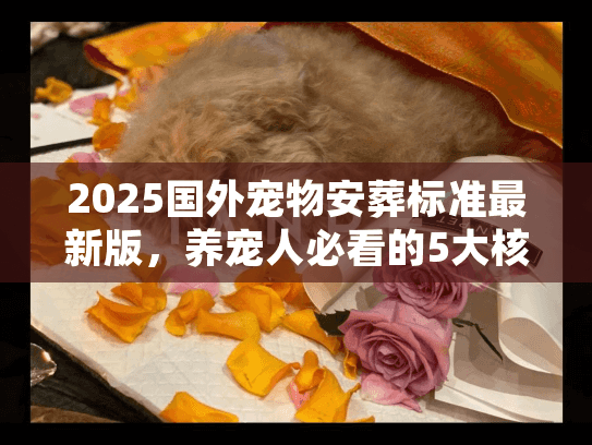2025国外宠物安葬标准最新版，养宠人必看的5大核心规则，选错可能留终身遗憾