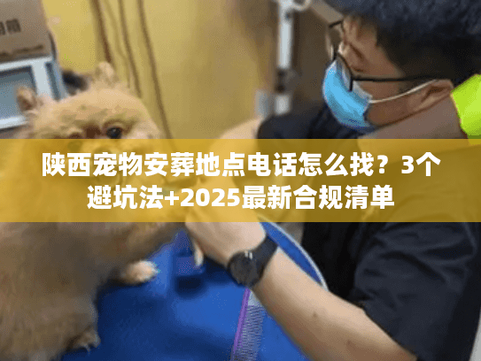 陕西宠物安葬地点电话怎么找？3个避坑法+2025最新合规清单
