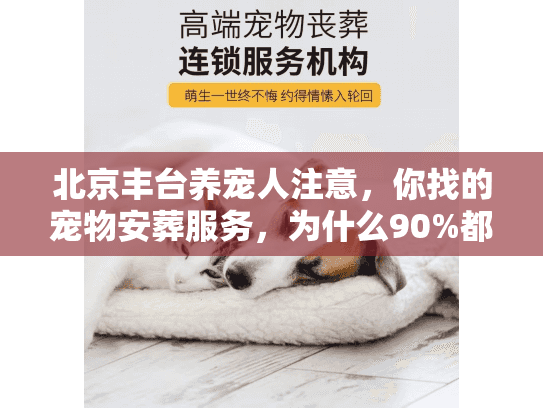 北京丰台养宠人注意，你找的宠物安葬服务，为什么90%都踩过这些坑？