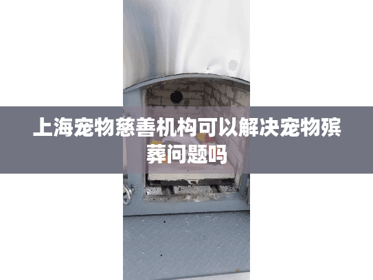 上海宠物慈善机构可以解决宠物殡葬问题吗