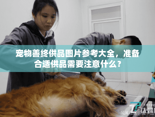 宠物善终供品图片参考大全，准备合适供品需要注意什么？