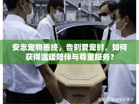 安念宠物善终，告别爱宠时，如何获得温暖陪伴与尊重服务？