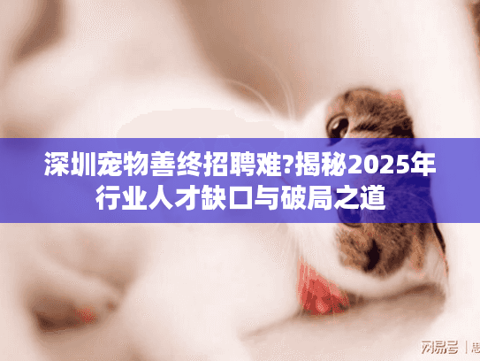深圳宠物善终招聘难?揭秘2025年行业人才缺口与破局之道