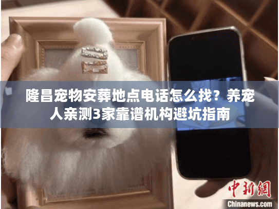 隆昌宠物安葬地点电话怎么找?养宠人亲测3家靠谱机构避坑指南 隆昌宠物安葬地点电话怎么找?养宠人亲测3家靠谱机构避坑指南