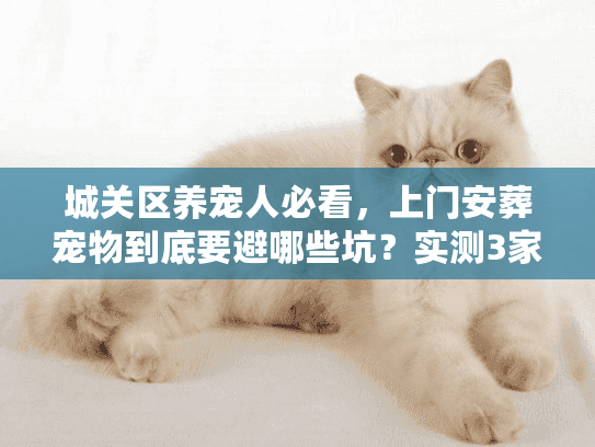 城关区养宠人必看，上门安葬宠物到底要避哪些坑？实测3家服务后我终于懂了