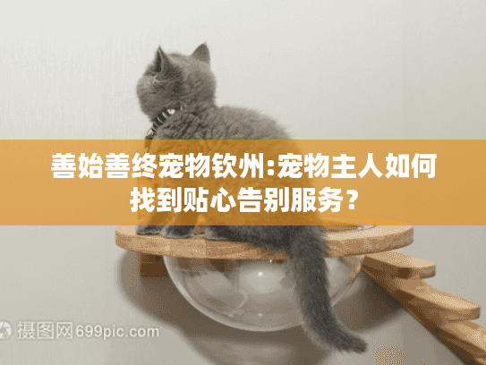 善始善终宠物钦州:宠物主人如何找到贴心告别服务？