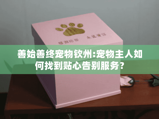 善始善终宠物钦州:宠物主人如何找到贴心告别服务？