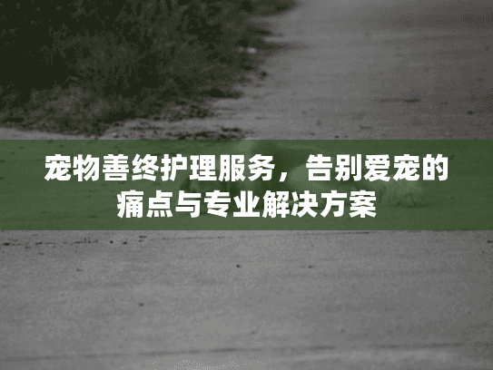 宠物善终护理服务，告别爱宠的痛点与专业解决方案