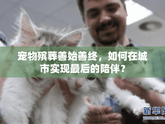 宠物殡葬善始善终，如何在城市实现最后的陪伴？