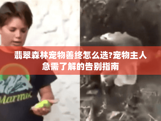 翡翠森林宠物善终怎么选?宠物主人急需了解的告别指南