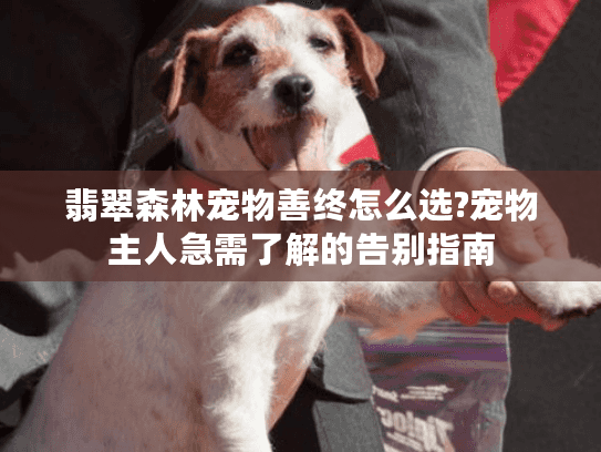 翡翠森林宠物善终怎么选?宠物主人急需了解的告别指南