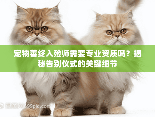 宠物善终入殓师需要专业资质吗？揭秘告别仪式的关键细节