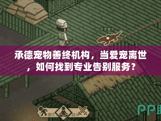 承德宠物善终机构，当爱宠离世，如何找到专业告别服务？