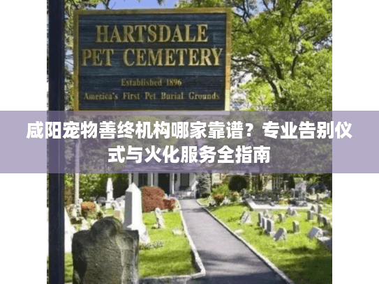 咸阳宠物善终机构哪家靠谱？专业告别仪式与火化服务全指南