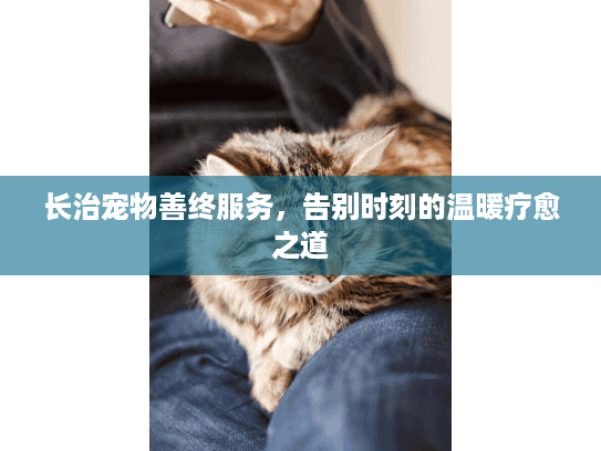 长治宠物善终服务，告别时刻的温暖疗愈之道