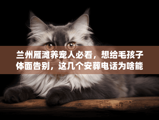 兰州雁滩养宠人必看，想给毛孩子体面告别，这几个安葬电话为啥能安心用？