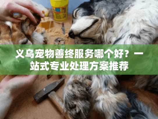 义乌宠物善终服务哪个好？一站式专业处理方案推荐