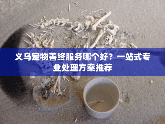 义乌宠物善终服务哪个好？一站式专业处理方案推荐