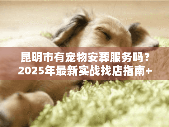 昆明市有宠物安葬服务吗？2025年最新实战找店指南+避坑技巧