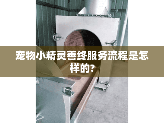 宠物小精灵善终服务流程是怎样的?