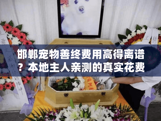 邯郸宠物善终费用高得离谱？本地主人亲测的真实花费指南