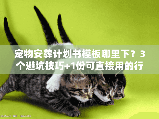 宠物安葬计划书模板哪里下？3个避坑技巧+1份可直接用的行业内版