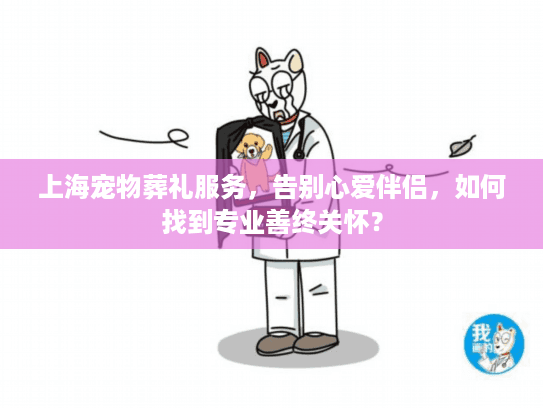 上海宠物葬礼服务，告别心爱伴侣，如何找到专业善终关怀？