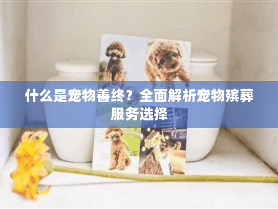 什么是宠物善终？全面解析宠物殡葬服务选择