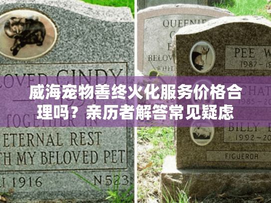 威海宠物善终火化服务价格合理吗？亲历者解答常见疑虑
