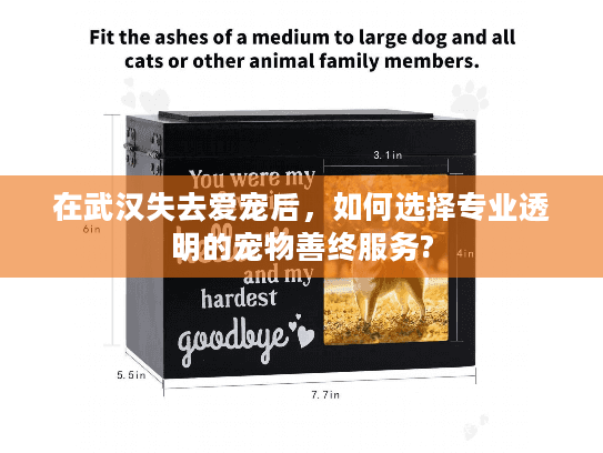 在武汉失去爱宠后，如何选择专业透明的宠物善终服务?