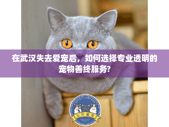 在武汉失去爱宠后，如何选择专业透明的宠物善终服务?