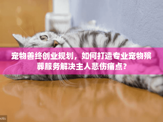 宠物善终创业规划，如何打造专业宠物殡葬服务解决主人悲伤痛点？
