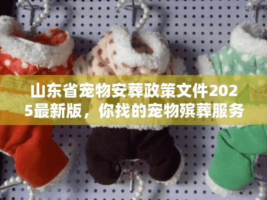 山东省宠物安葬政策文件2025最新版，你找的宠物殡葬服务真的合规吗？