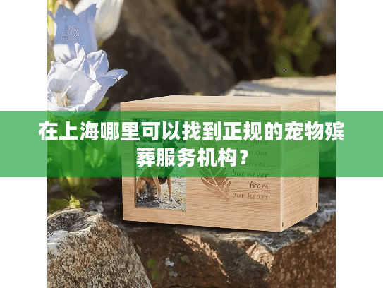 在上海哪里可以找到正规的宠物殡葬服务机构？
