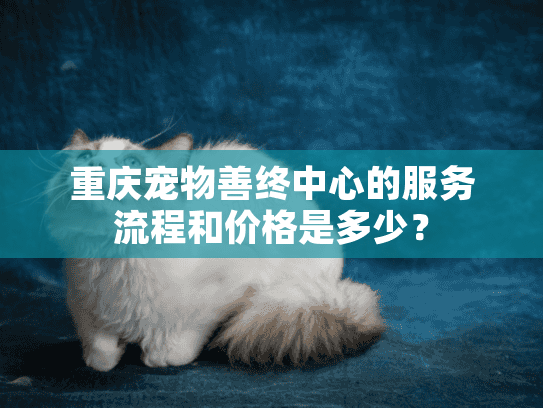 重庆宠物善终中心的服务流程和价格是多少？