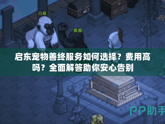 启东宠物善终服务如何选择？费用高吗？全面解答助你安心告别