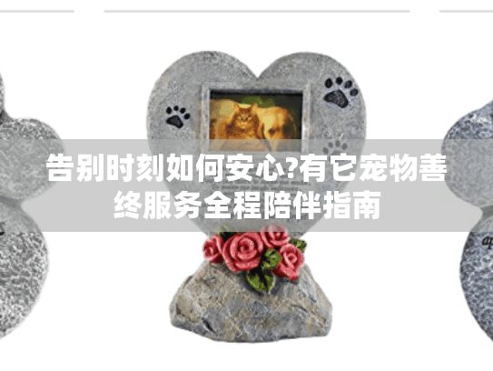 告别时刻如何安心?有它宠物善终服务全程陪伴指南