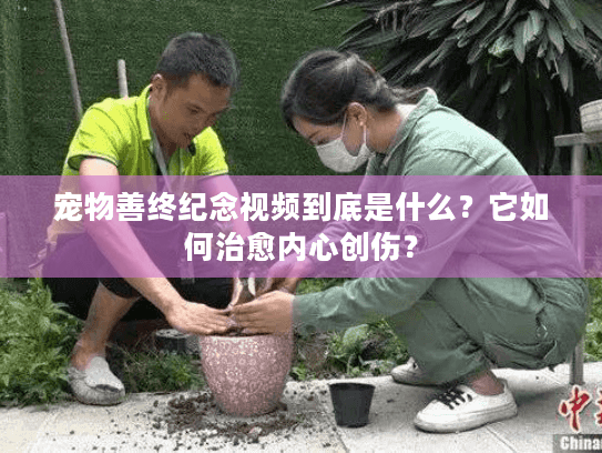 宠物善终纪念视频到底是什么？它如何治愈内心创伤？