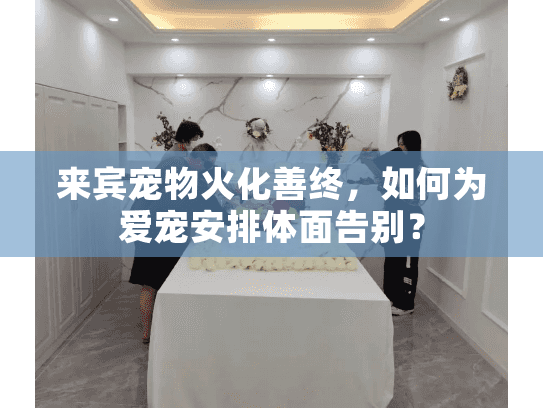 来宾宠物火化善终，如何为爱宠安排体面告别？