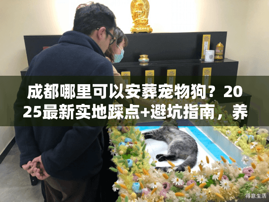 成都哪里可以安葬宠物狗？2025最新实地踩点+避坑指南，养宠人必看