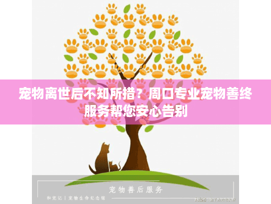 宠物离世后不知所措？周口专业宠物善终服务帮您安心告别