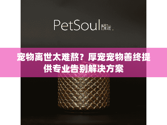 宠物离世太难熬？厚宠宠物善终提供专业告别解决方案