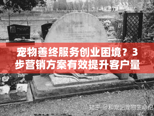 宠物善终服务创业困境？3步营销方案有效提升客户量