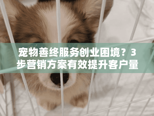 宠物善终服务创业困境？3步营销方案有效提升客户量